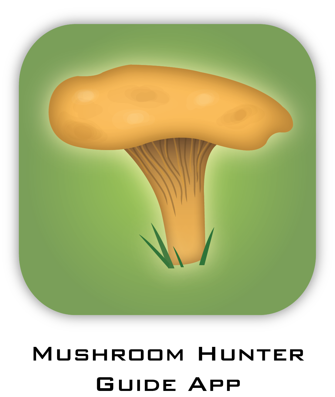 Mushroom Hunter app